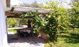 House with pool